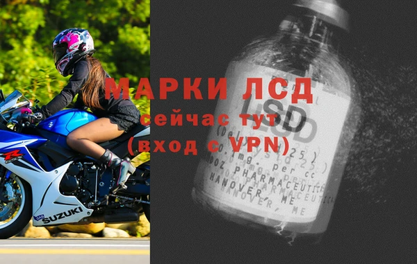 a pvp Алзамай