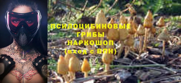 хмурый Алексин