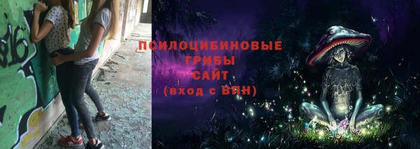 a pvp Алзамай