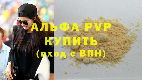 хмурый Алексин